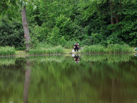 Zawody Wędkarskie o Puchar Wójta Gminy Bełżec