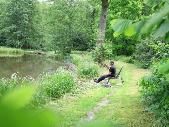 Zawody Wędkarskie o Puchar Wójta Gminy Bełżec