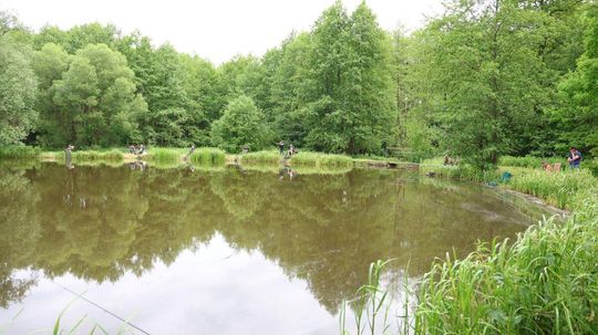 Zawody Wędkarskie o Puchar Wójta Gminy Bełżec