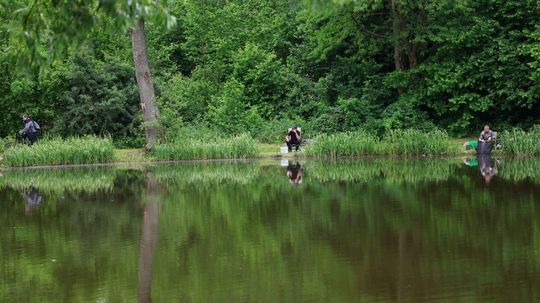 Zawody Wędkarskie o Puchar Wójta Gminy Bełżec