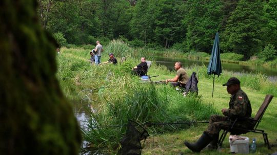Zawody Wędkarskie o Puchar Wójta Gminy Bełżec