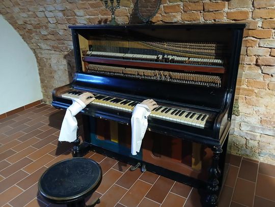 Odkryj tajemnice podziemnego Zamościa. Co skrywają krypty u Franciszkanów? [ZDJĘCIA]