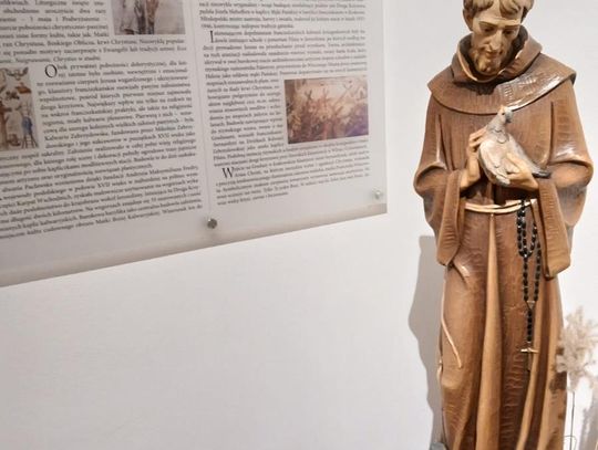 Odkryj tajemnice podziemnego Zamościa – zwiedzanie krypt franciszkańskich [ZDJĘCIA]