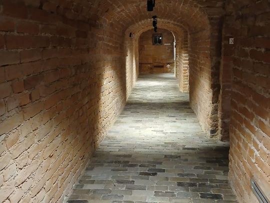 Odkryj tajemnice podziemnego Zamościa – zwiedzanie krypt franciszkańskich [ZDJĘCIA]