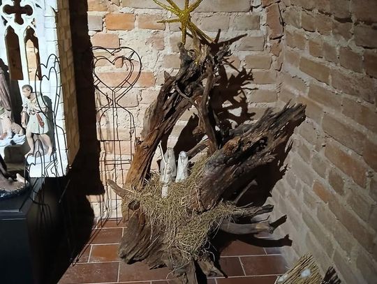 Odkryj tajemnice podziemnego Zamościa – zwiedzanie krypt franciszkańskich [ZDJĘCIA]