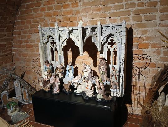 Odkryj tajemnice podziemnego Zamościa – zwiedzanie krypt franciszkańskich [ZDJĘCIA]