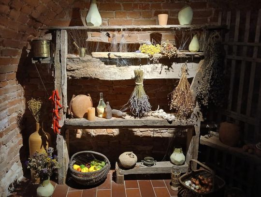 Odkryj tajemnice podziemnego Zamościa – zwiedzanie krypt franciszkańskich [ZDJĘCIA]