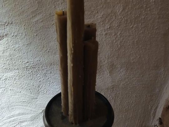 Odkryj tajemnice podziemnego Zamościa – zwiedzanie krypt franciszkańskich [ZDJĘCIA]