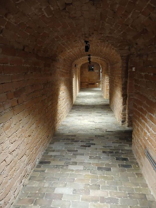 Odkryj tajemnice podziemnego Zamościa – zwiedzanie krypt franciszkańskich [ZDJĘCIA]