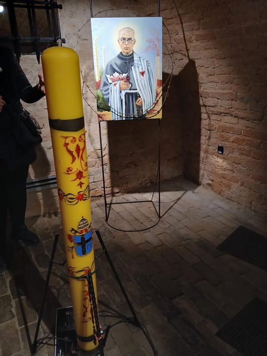 Odkryj tajemnice podziemnego Zamościa – zwiedzanie krypt franciszkańskich [ZDJĘCIA]