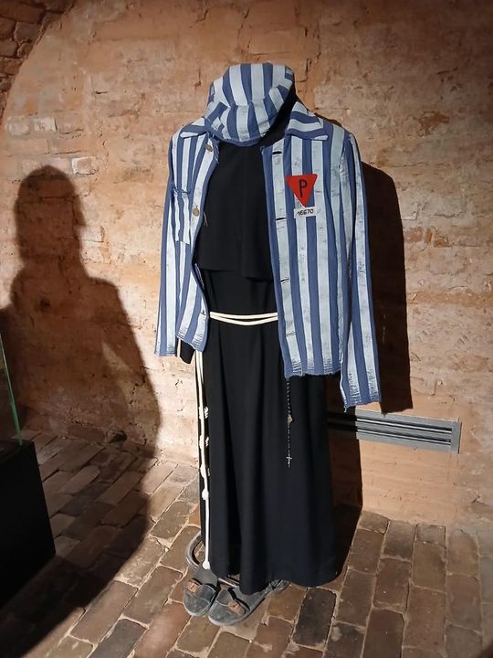 Odkryj tajemnice podziemnego Zamościa – zwiedzanie krypt franciszkańskich [ZDJĘCIA]