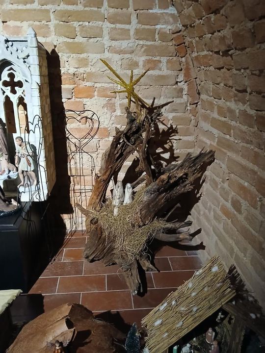 Odkryj tajemnice podziemnego Zamościa – zwiedzanie krypt franciszkańskich [ZDJĘCIA]