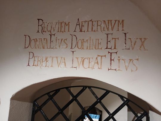 Odkryj tajemnice podziemnego Zamościa – zwiedzanie krypt franciszkańskich [ZDJĘCIA]