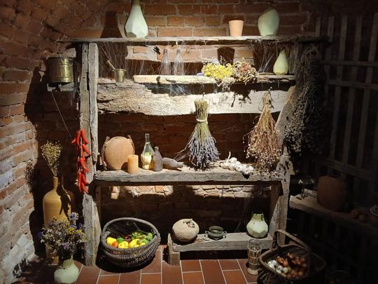 Odkryj tajemnice podziemnego Zamościa – zwiedzanie krypt franciszkańskich [ZDJĘCIA]