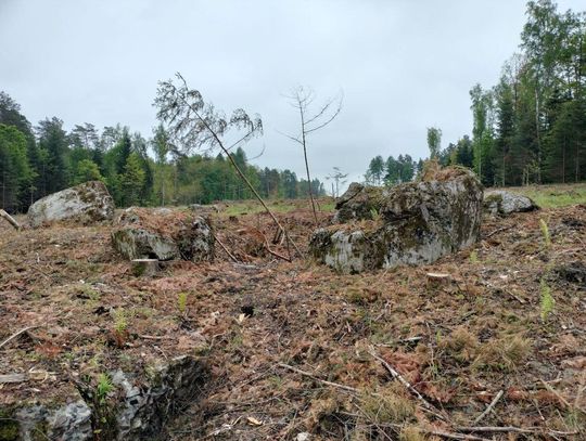 Na trasie S17 odkryto schron z czasów II wojny światowej [ZDJĘCIA]