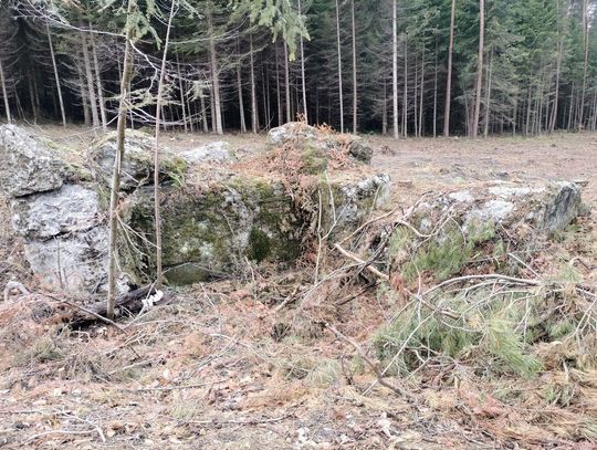 Na trasie S17 odkryto schron z czasów II wojny światowej [ZDJĘCIA]