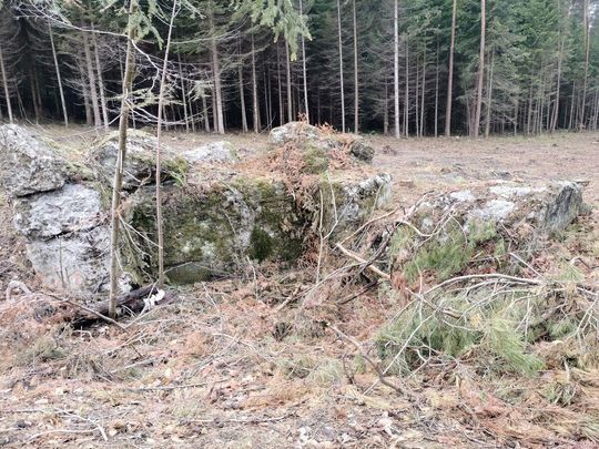 Na trasie S17 odkryto schron z czasów II wojny światowej [ZDJĘCIA]