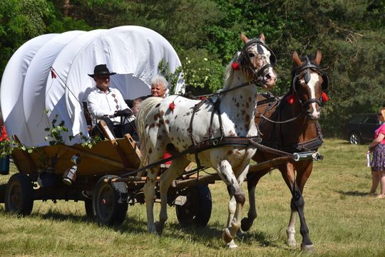 Turnieju Wsi. Hasło tegorocznej imprezy brzmiało „Cygańskim taborem do Okrągłego".