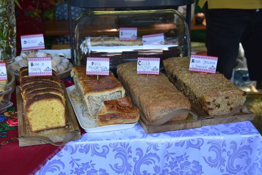 Turnieju Wsi. Hasło tegorocznej imprezy brzmiało „Cygańskim taborem do Okrągłego".