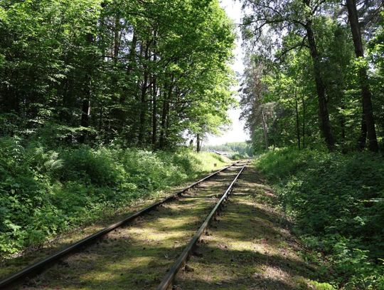 81. rocznica zbrodni UPA na polskich pasażerach pociągu relacji Bełżec – Lwów