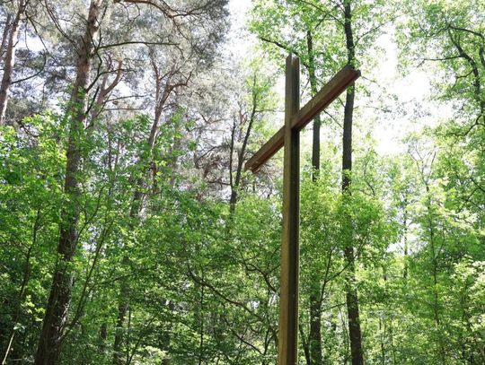 81. rocznica zbrodni UPA na polskich pasażerach pociągu relacji Bełżec – Lwów