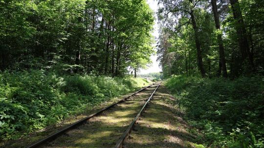 81. rocznica zbrodni UPA na polskich pasażerach pociągu relacji Bełżec – Lwów