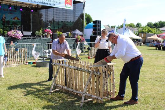 Gminny Piknik Sołtysów w Rabinówce