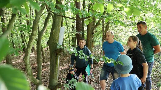 Bełżec. Piknik z Tatą  – gra terenowa i wspólne grillowanie