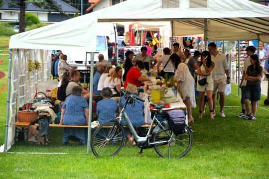 Dni Lubyczy Królewskiej 2025 