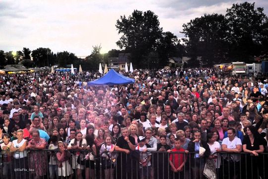 Dni Lubyczy Królewskiej 2025 Dni Lubyczy Królewskiej 2025