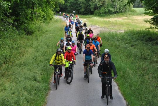 Dni Lubyczy Królewskiej 2025