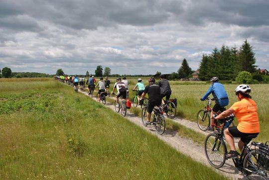 Dni Lubyczy Królewskiej 2025