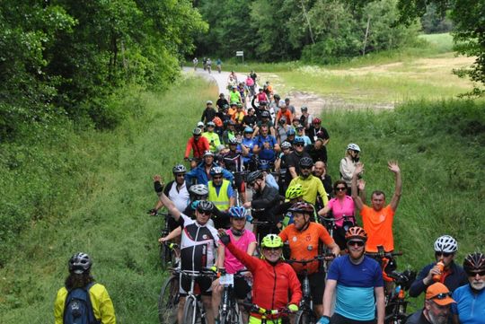 Dni Lubyczy Królewskiej 2025