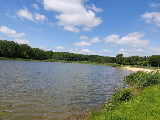 Na zbiorniku wodnym w Lubyczy Królewskiej obowiązuje zakaz kąpieli [ZDJĘCIA]