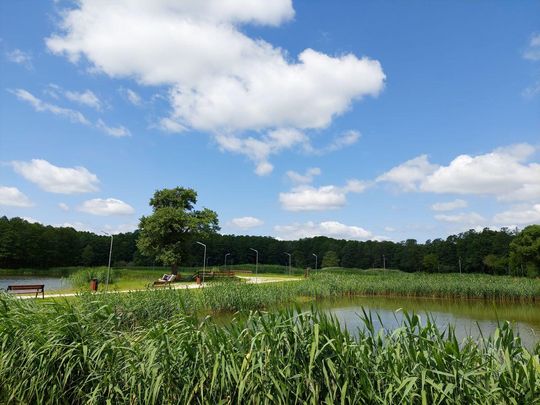 Na zbiorniku wodnym w Lubyczy Królewskiej obowiązuje zakaz kąpieli [ZDJĘCIA]