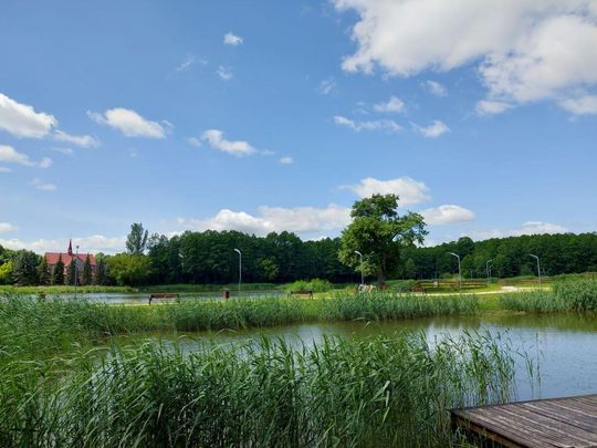 Na zbiorniku wodnym w Lubyczy Królewskiej obowiązuje zakaz kąpieli [ZDJĘCIA]