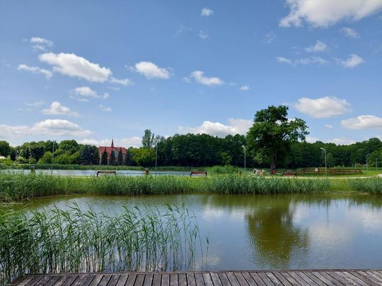 Na zbiorniku wodnym w Lubyczy Królewskiej obowiązuje zakaz kąpieli [ZDJĘCIA]