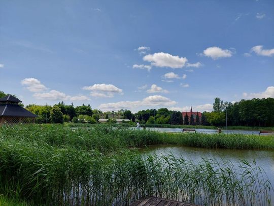 Na zbiorniku wodnym w Lubyczy Królewskiej obowiązuje zakaz kąpieli [ZDJĘCIA]