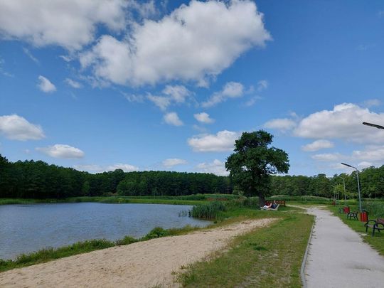 Na zbiorniku wodnym w Lubyczy Królewskiej obowiązuje zakaz kąpieli [ZDJĘCIA]