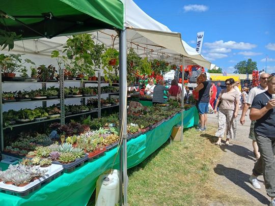 Sitno: Wystawa Maszyn i Urządzeń Rolniczych - galeria zdjęć