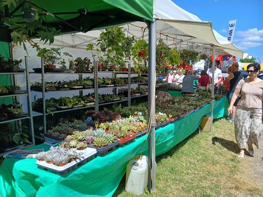 Sitno: Wystawa Maszyn i Urządzeń Rolniczych - galeria zdjęć