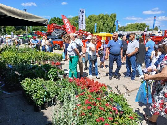 Sitno: Wystawa Maszyn i Urządzeń Rolniczych - galeria zdjęć