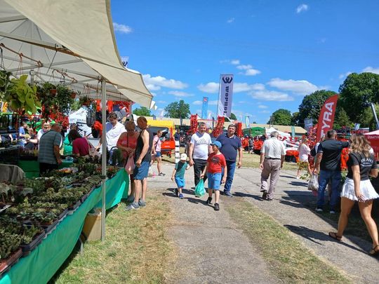 Sitno: Wystawa Maszyn i Urządzeń Rolniczych - galeria zdjęć