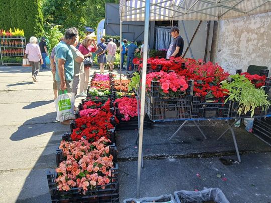 Sitno: Wystawa Maszyn i Urządzeń Rolniczych - galeria zdjęć Sitno: Wystawa Maszyn i Urządzeń Rolniczych - galeria zdjęć
