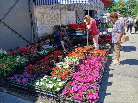 Sitno: Wystawa Maszyn i Urządzeń Rolniczych - galeria zdjęć