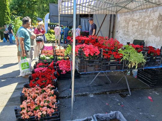 Sitno: Wystawa Maszyn i Urządzeń Rolniczych - galeria zdjęć