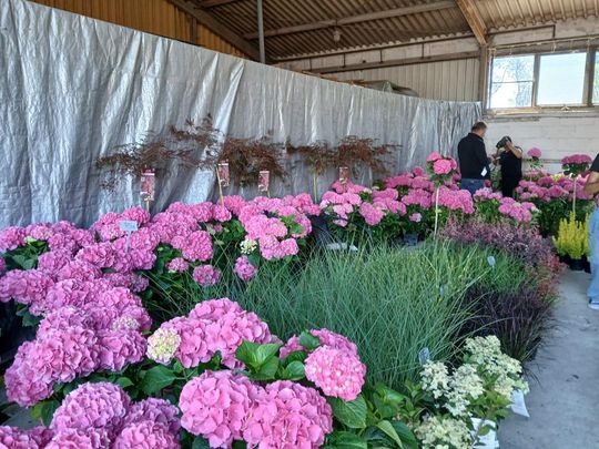 Sitno: Wystawa Maszyn i Urządzeń Rolniczych - galeria zdjęć