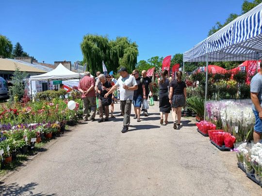 Sitno: Wystawa Maszyn i Urządzeń Rolniczych - galeria zdjęć Sitno: Wystawa Maszyn i Urządzeń Rolniczych - galeria zdjęć