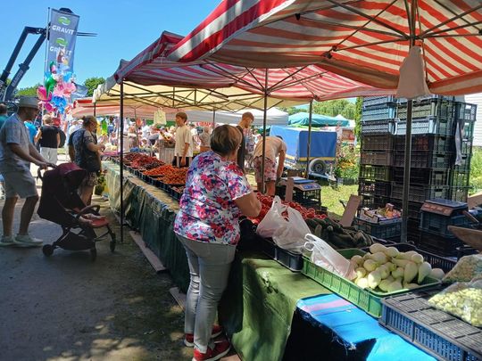 Sitno: Wystawa Maszyn i Urządzeń Rolniczych - galeria zdjęć