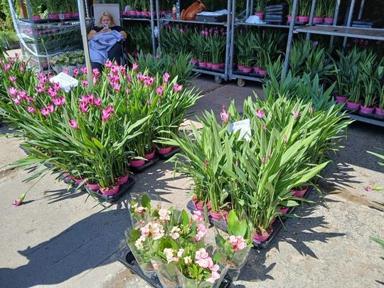 Sitno: Wystawa Maszyn i Urządzeń Rolniczych - galeria zdjęć